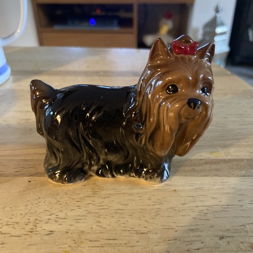 Yorkshire terrier dog - yorkshire,