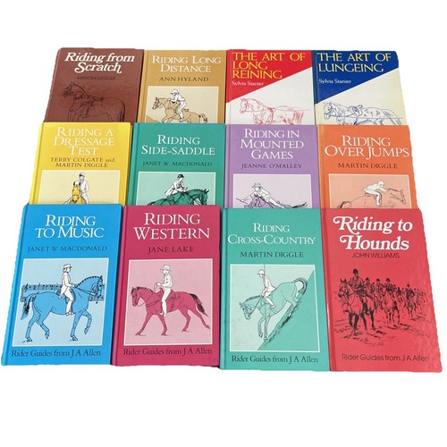 Horse riding equestrian - horse, book