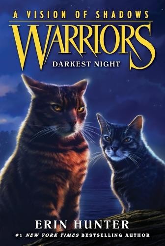 Warriors vision of - vision, shadows