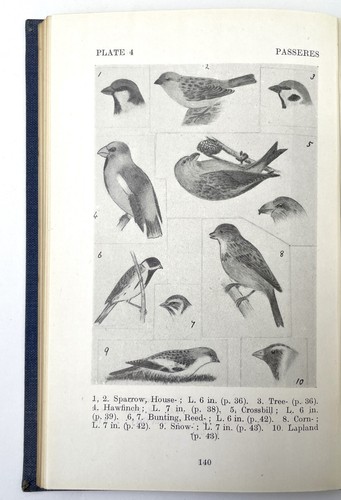 How know british birds - how, to