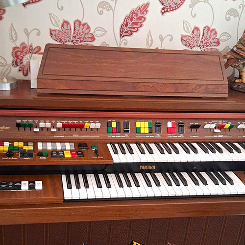 Yamaha brown dual - brown, dual-manual