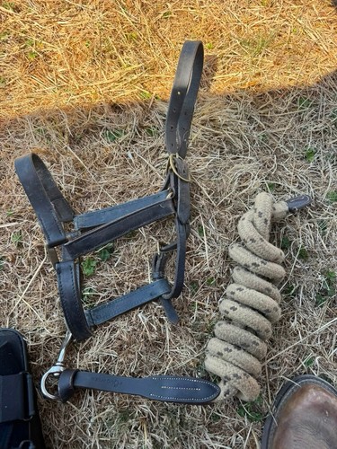 Leather headcollar with - headcollar,