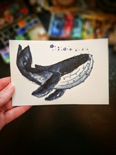 Dark Blue Humpback Whale
