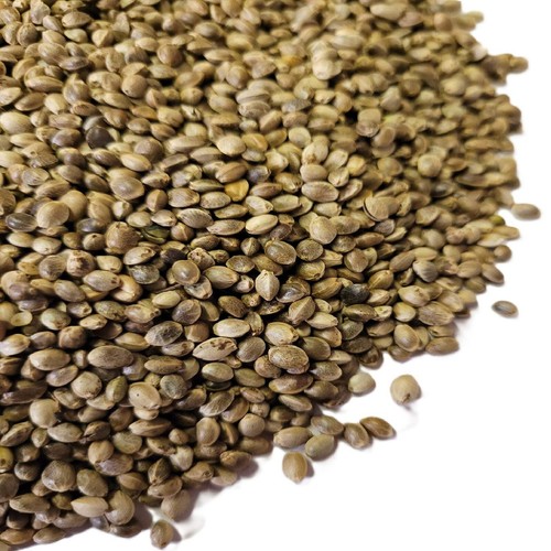 Hemp seed 350g 1kg - hemp,
