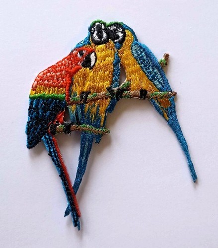 Macaw parrots heat applied - parrots,