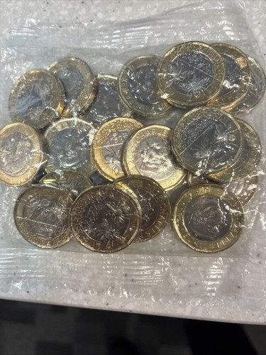 One pound coin - x,