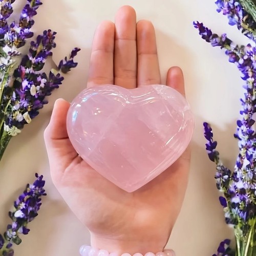 One heart shaped - heart-shaped, rose