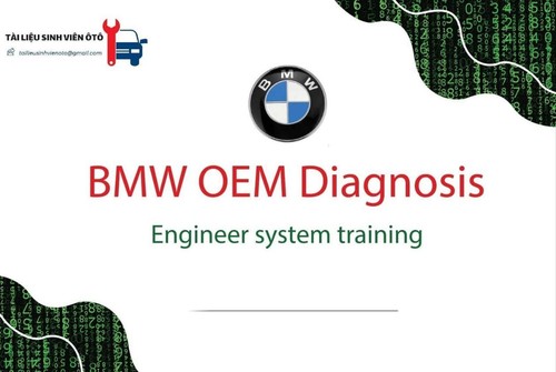 Bmw oem diagnosis engineer - oem,