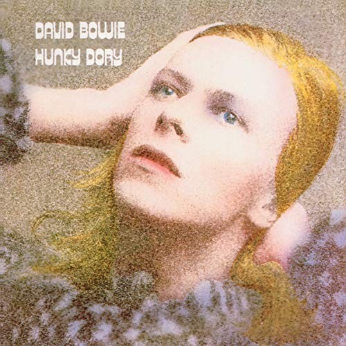 Hunky dory cd - hunky,