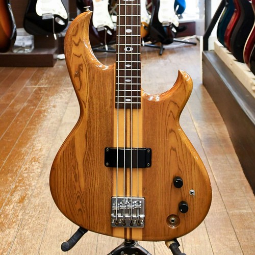 Aria pro rsb 600 - rsb-600, electric