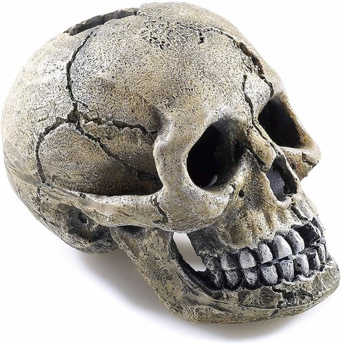 Aquarium ornament spooky - aquarium,
