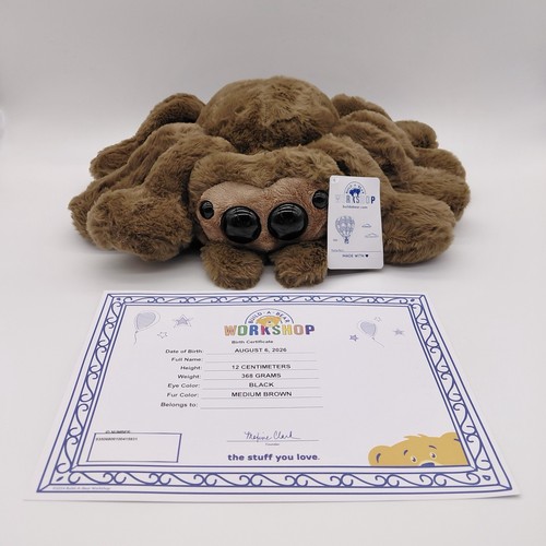 Build bear jumping spider - build, a