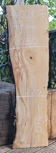 Live edge spalted chestnut - spalted,