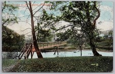 NEWTOWN Montgomeryshire Rustic Bridge on the Severn Postcard, Postmarked 1906