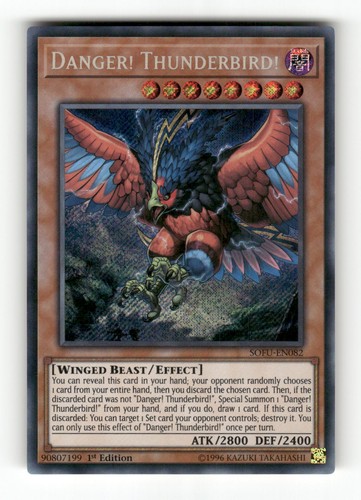 Danger thunderbird - danger!,