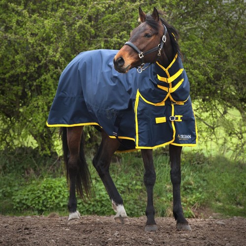 Gallop trojan 200g combo - trojan,