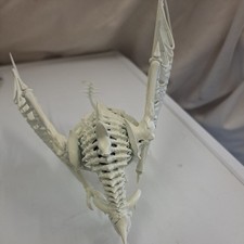 Kaladrax Reborn Dark Heaven