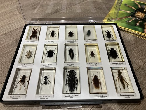 National geographic real life - geographic,