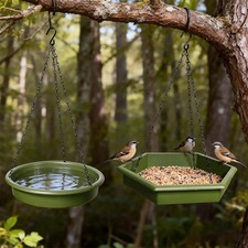 XL Bird Feeder & Bird Bath 2