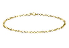 9CT Yellow Gold Belcher