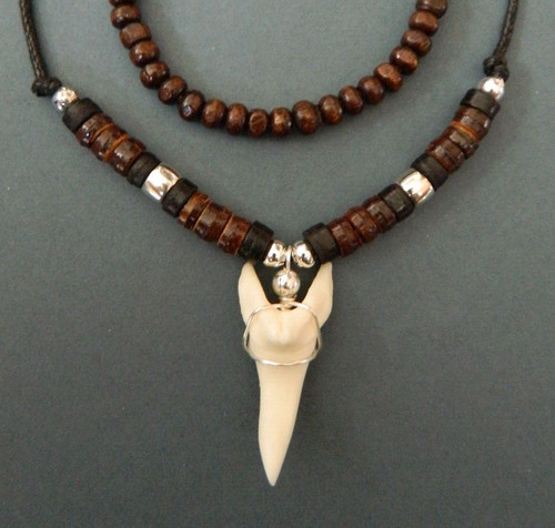 Large shark tooth shape
