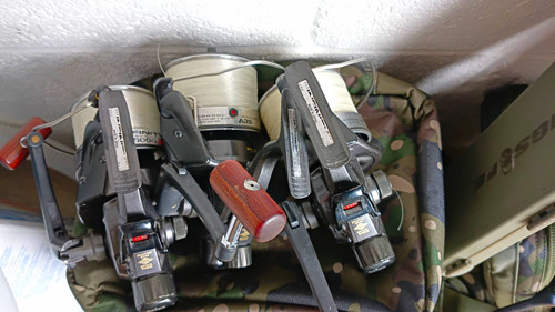 Daiwa infinity 5000br reels - daiwa, x3