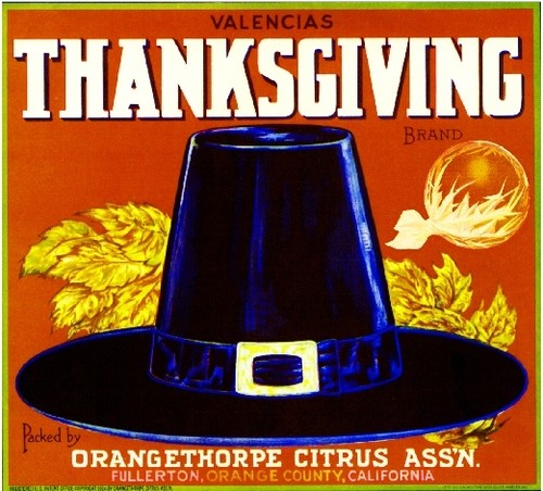 Fullerton thanksgiving pilgrim - fullerton,