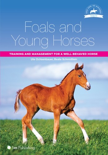 Foals young horses - young, by