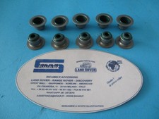 OEM Sivar 10pcs Valve Cap