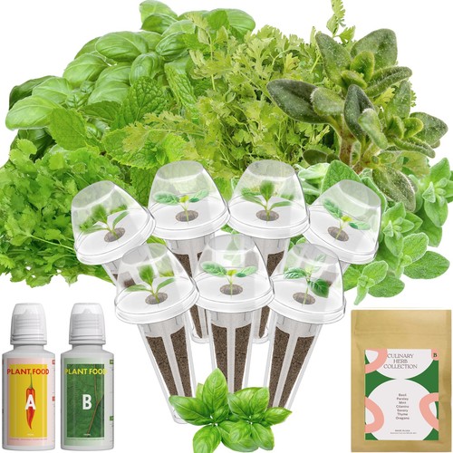 Hydroponics herb seed pod kit - herb,