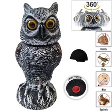 Realistic Owl Decoy With Bird