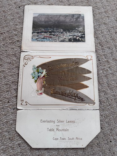 1890s victorian souvenir - 1890s,
