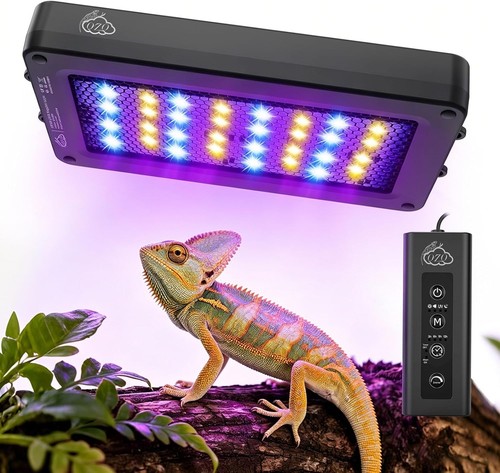 Uvb light for reptiles - uvb, reptiles,