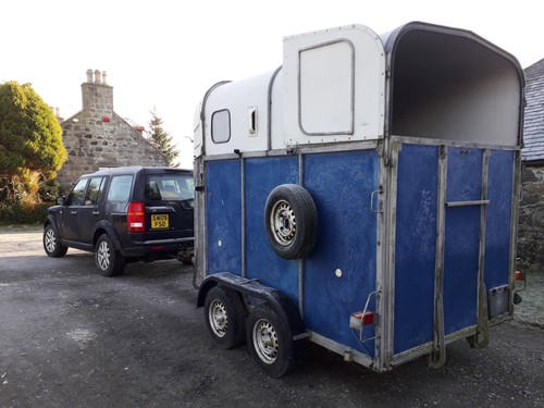 Horse trailer double rice - horse,