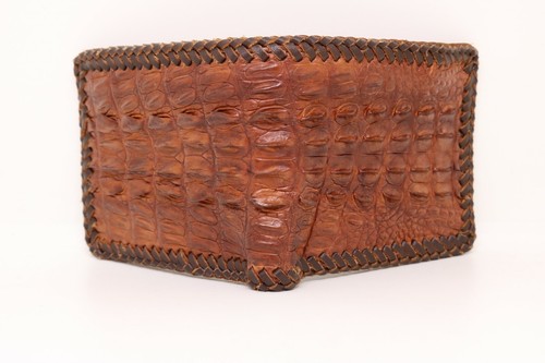 Real crocodile alligator and - crocodile,