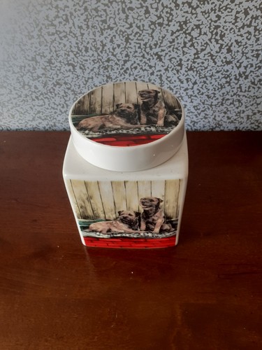 Border terrier collection - border,