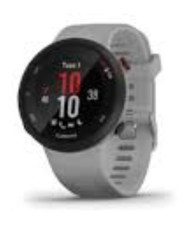 Garmin Forerunner 45 Plus GPS