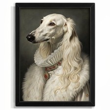 Regal Saluki Dog Portrait