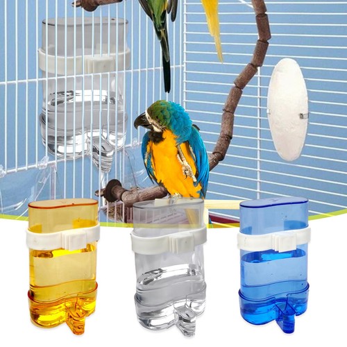 Pet bird feeder - pet, water