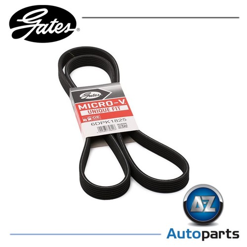 Rib ribbed belt 6dpk1825 - 6,