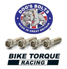 Stainless Steel Hex Head