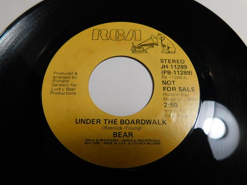 Bear under the - the, boardwalk