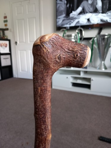 Blackthorn walking stick fully - blackthorn,