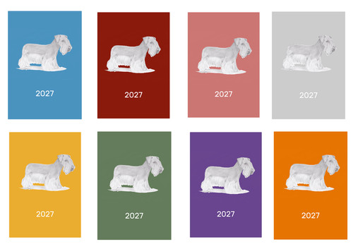 Cesky terrier 2027 diary - 2027, a5