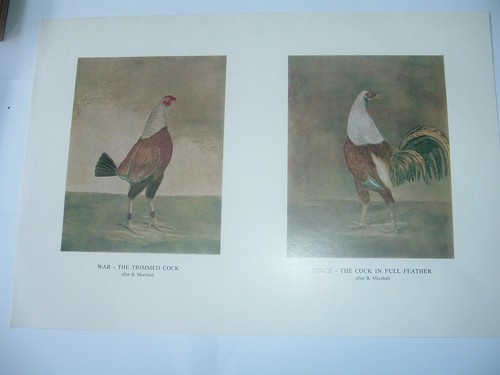 Old english game - english, printing