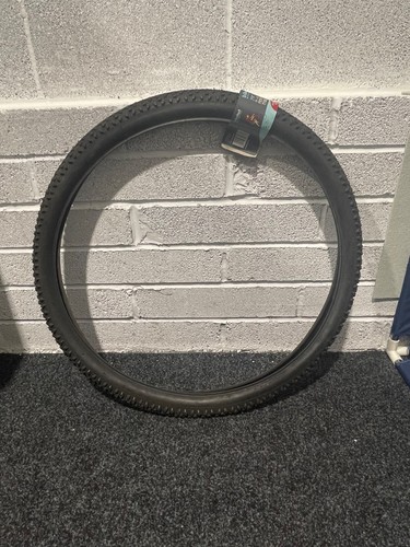 29er 10 puncture - 29,