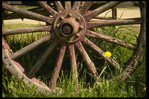216061 spokes and wagon - spokes,