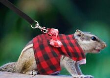 RAT PET HARNESS GUINEA PIG