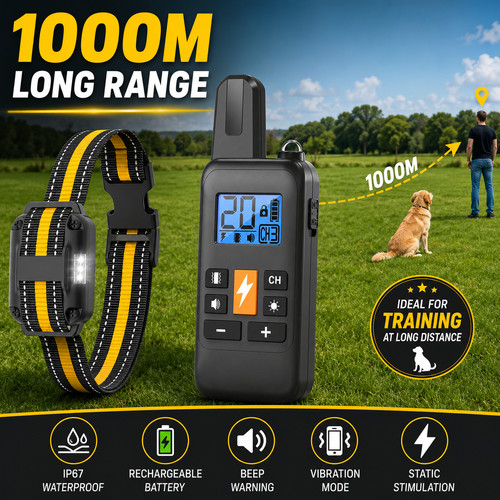 1000m dog training - 1000m,