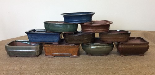 16cm mixed bonsai pots - mixed,